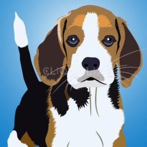 Beagle Dog, Cliqnclix