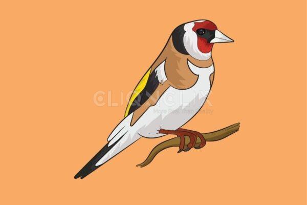 Goldfinch Bird , Cliqnclix