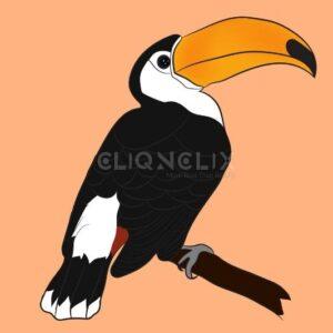 Hornbill Bird , Cliqnclix