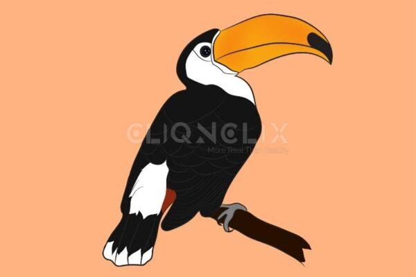 Hornbill Bird , Cliqnclix